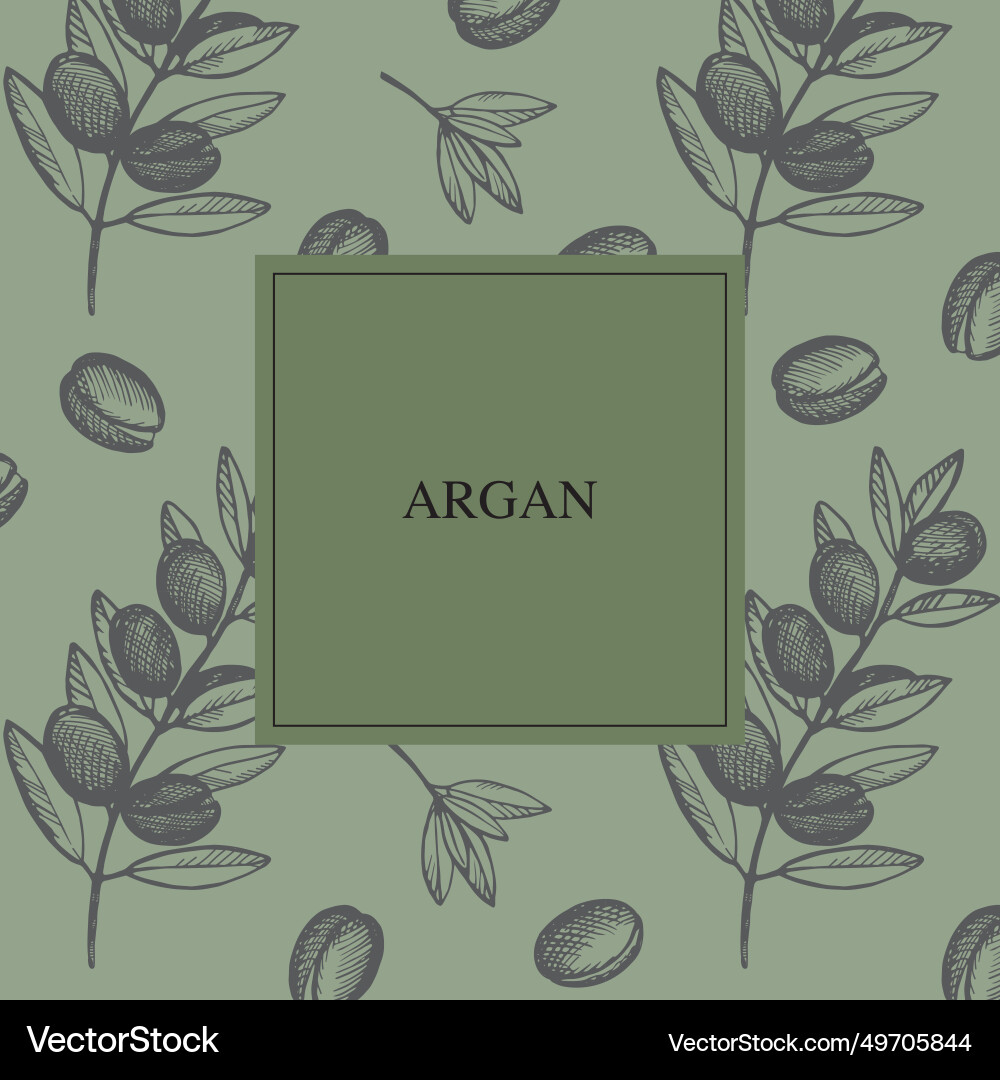 Argan sketch background label for text Argan sketch background label for text vector image