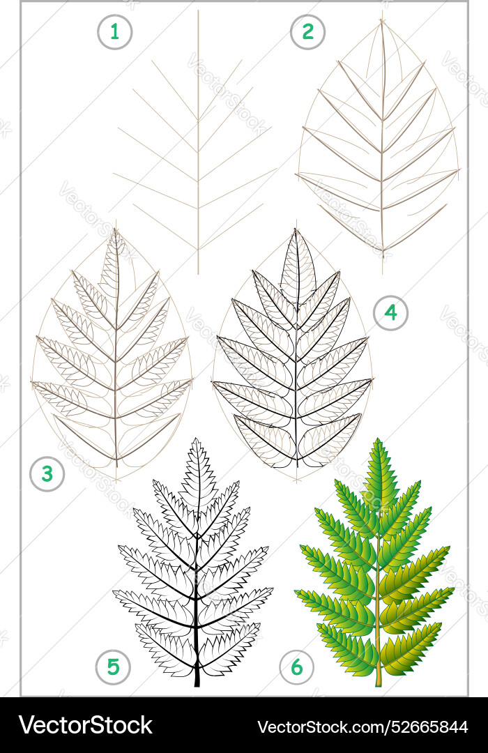 Page shows how to learn step by draw Page shows how to learn step by draw vector image