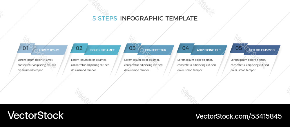 Process Workflow Infographic Template Vector Image