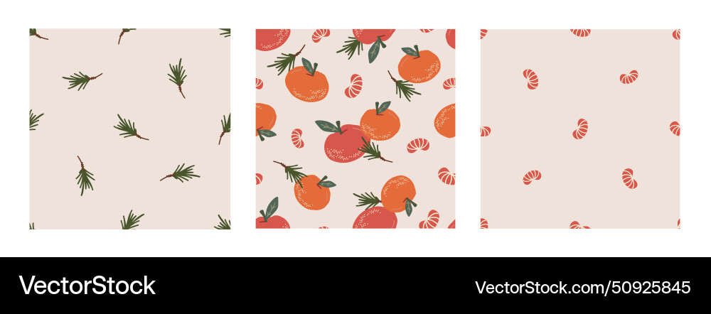 Seamless pattern set with tangerine fir twig Seamless pattern set with tangerine fir twig vector image