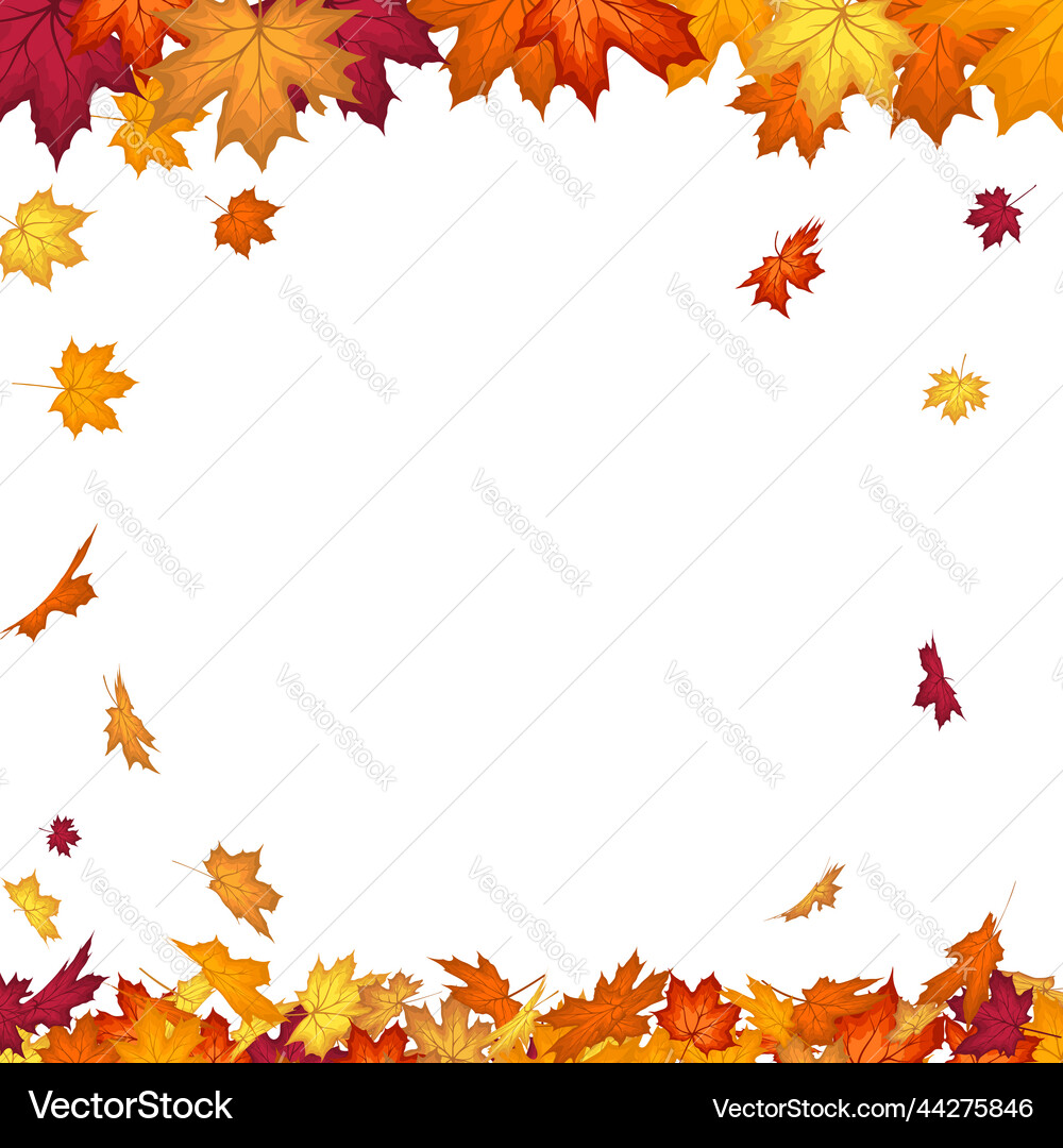 Autumn maple frame Autumn maple frame vector image