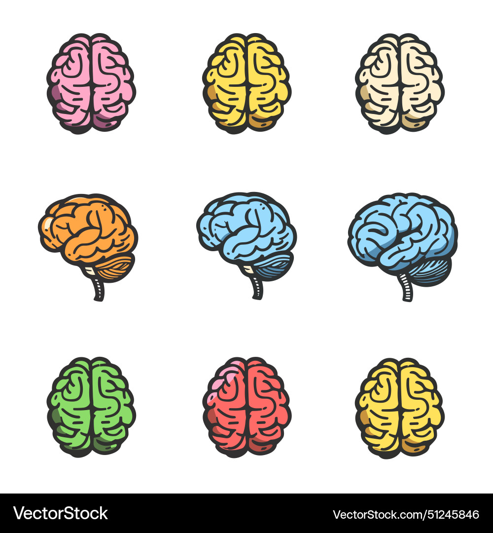 Nine colorful brain representing Vector Image