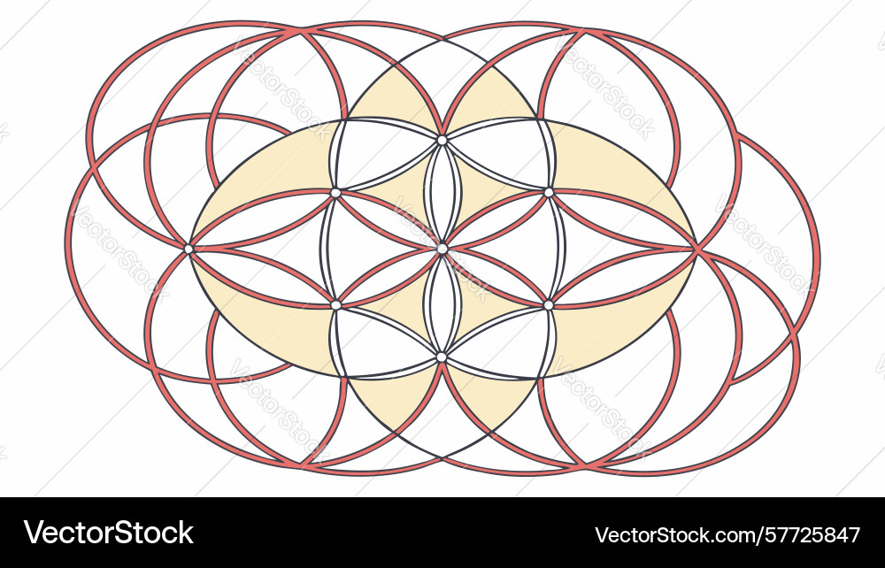 Harmonious circular geometric pattern in soft vector image