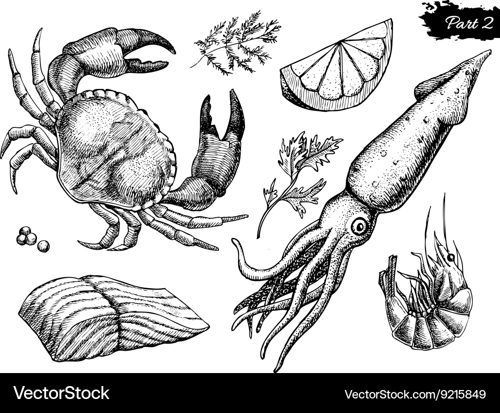 Seafood Sketch Set - Vintage Style Vector Image