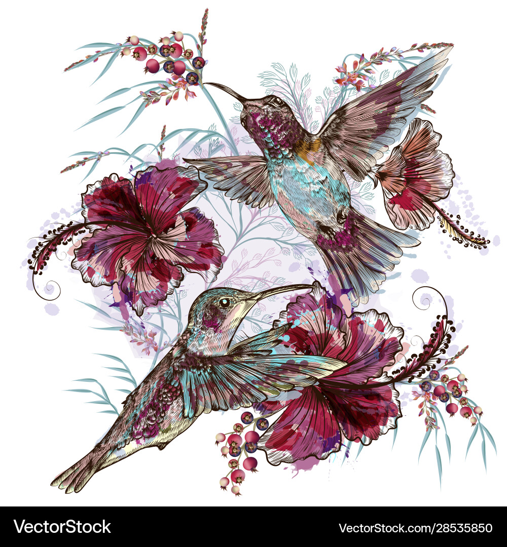 Floral Hummingbird Fashion Vector Image