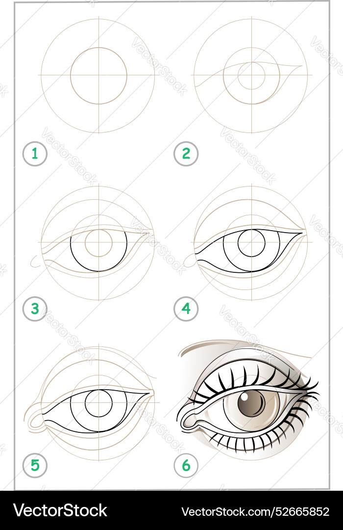 Page shows how to learn step by draw Page shows how to learn step by draw vector image