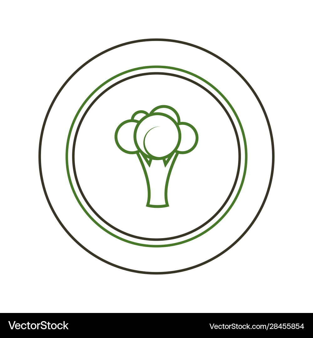 Broccoli Royalty Free Vector Image - VectorStock