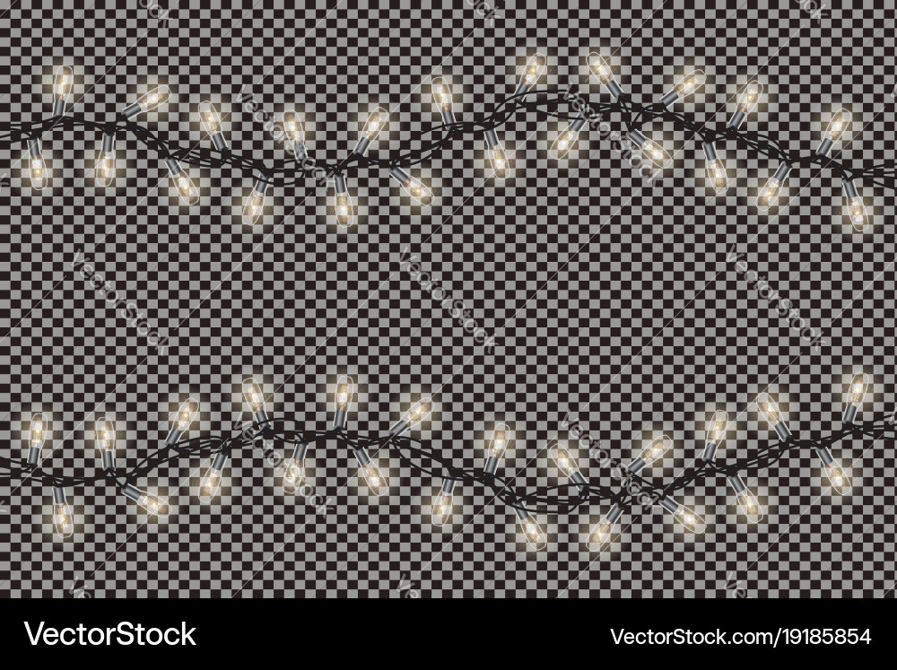 Christmas lights string isolated on transparent vector image