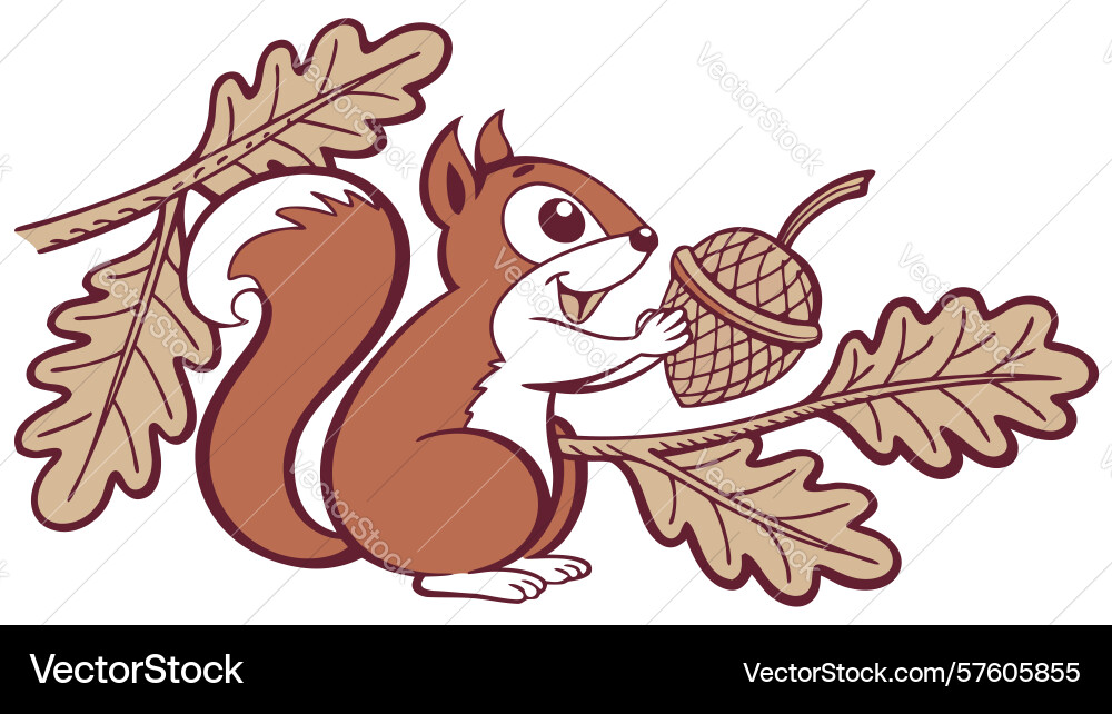 Energetic squirrel with acorn on tree branch Vector Image