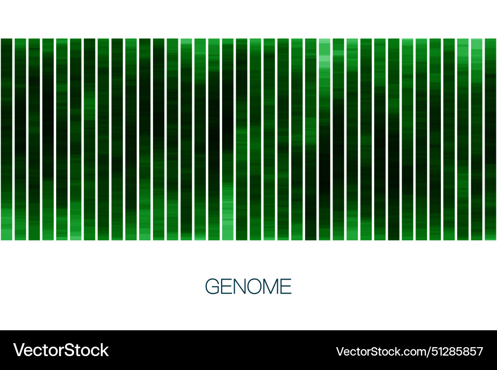 Big genomic data visualization Vector Image