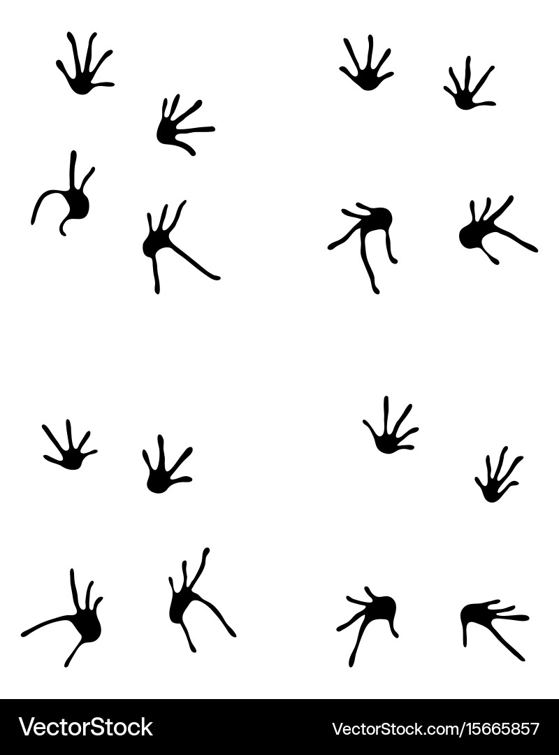 Lizard Footprints on White Vector Image