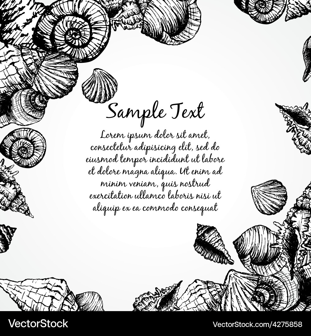 Hand drawn pattern with various seashells vector image