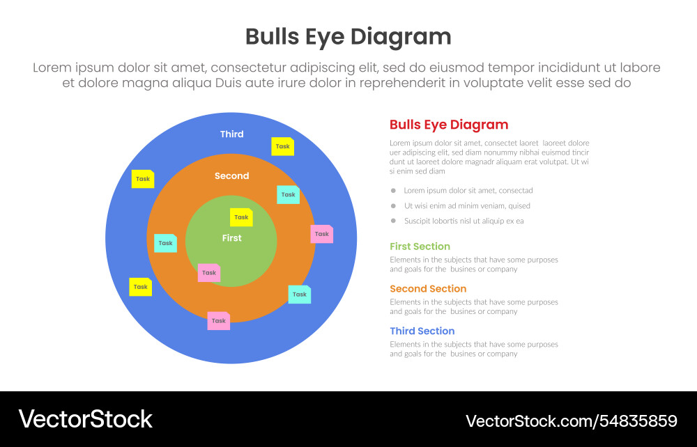 Bulls eye diagram infographic template banner Bulls eye diagram infographic template banner vector image