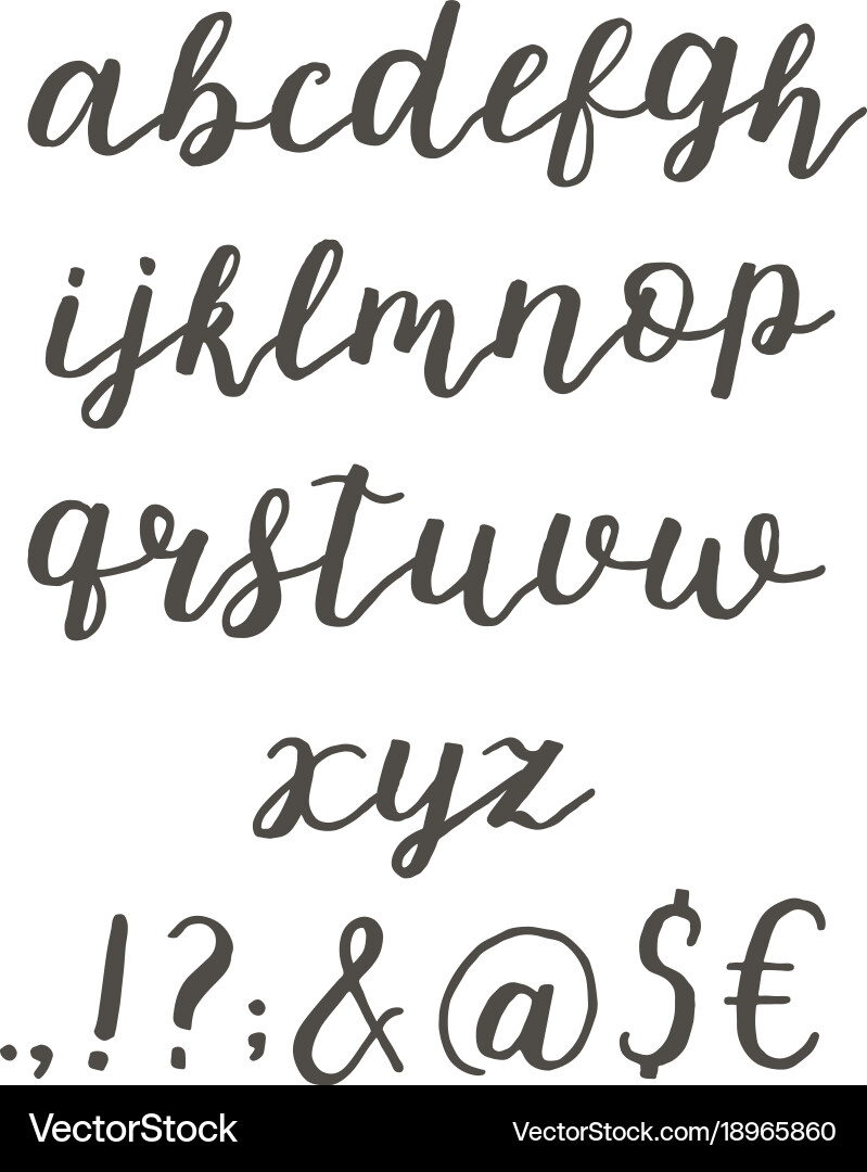 Elegant Script Handwriting vector image