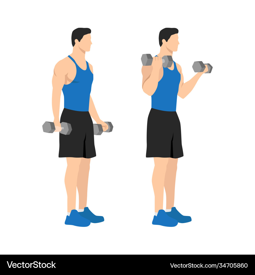 Man doing standing dumbbell bicep curls Man doing standing dumbbell bicep curls vector image