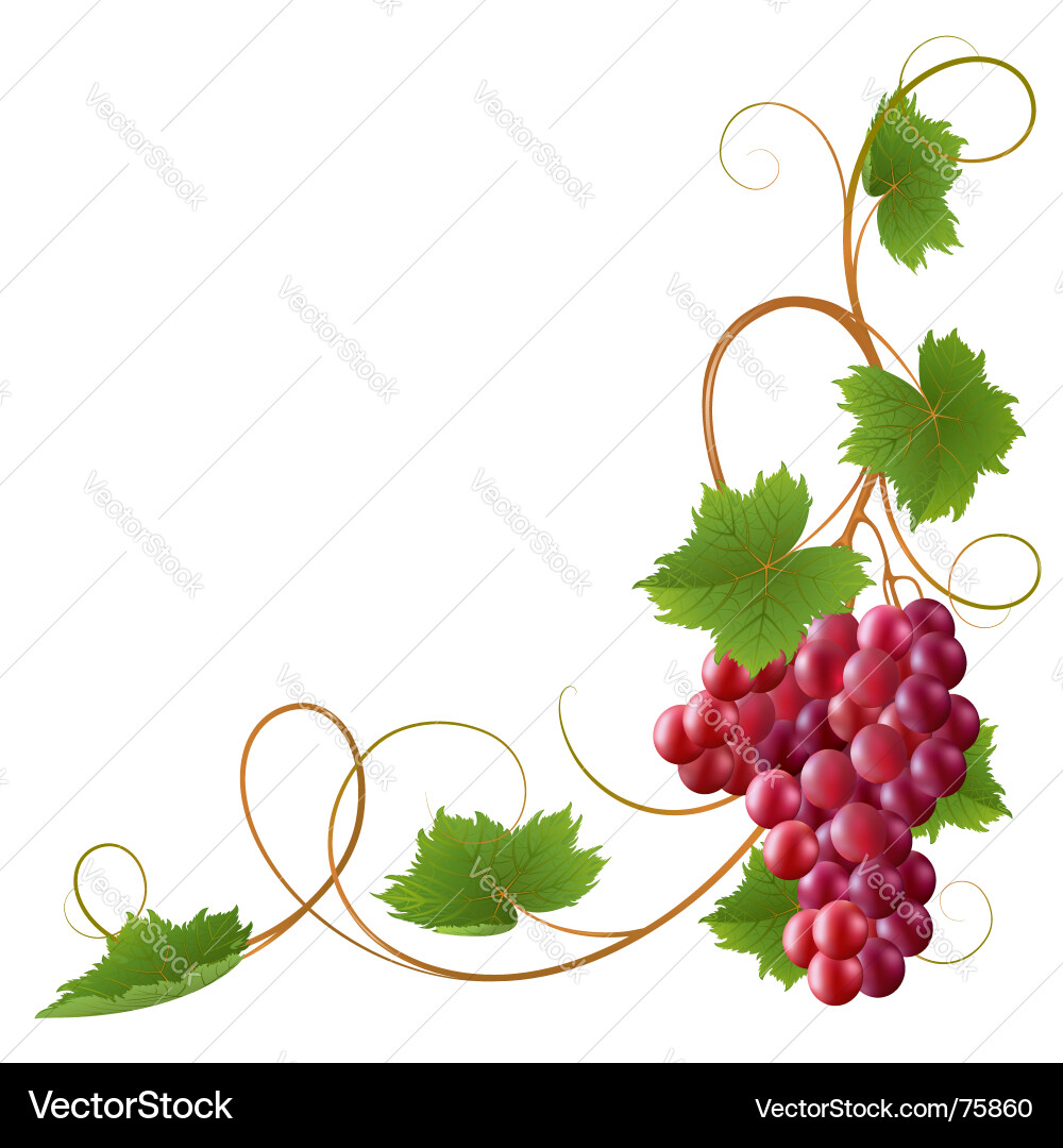 Red Vine Swirl vector image