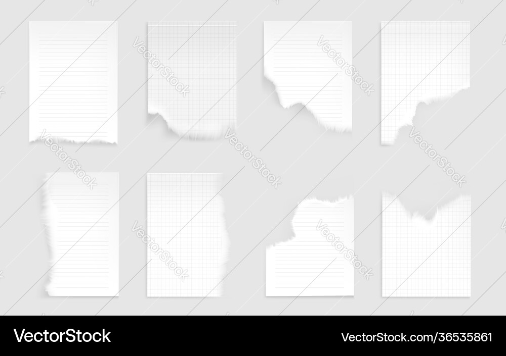 Torn Notebook Sheets - Blank Paper Vector Image