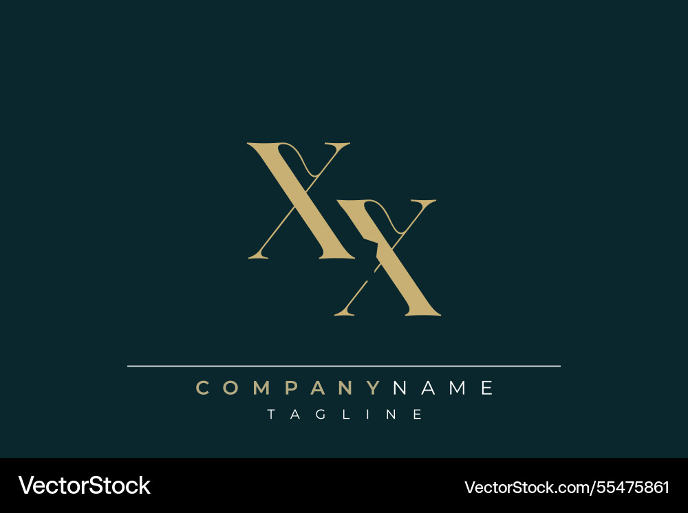 Xx abstract logo design Royalty Free Vector Image