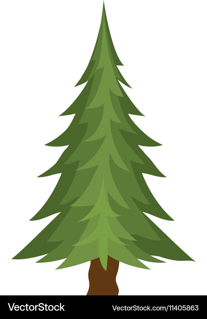 Green pine tree Royalty Free Vector Image - VectorStock
