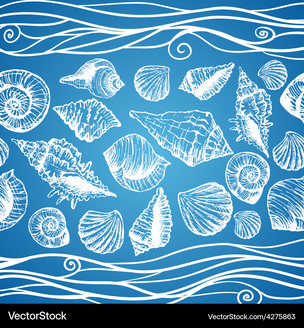 Hand drawn pattern with various seashells Vector Image