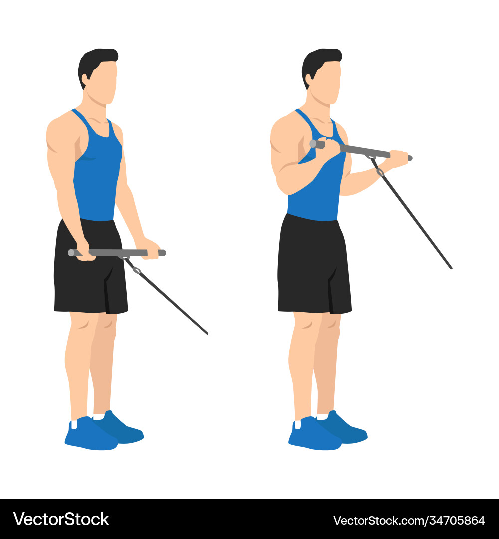 Man doing standing bicep cable curls exercise Man doing standing bicep cable curls exercise vector image