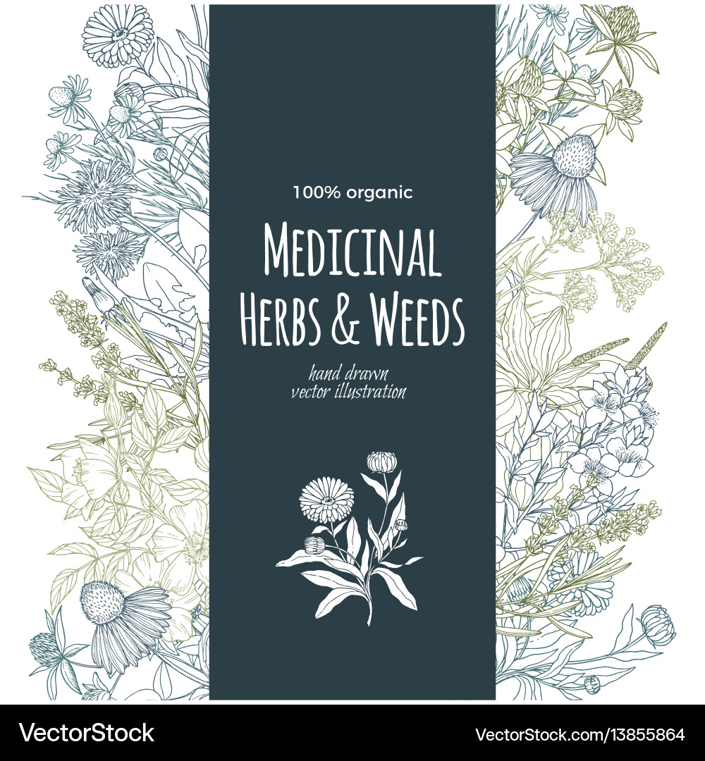 Vertikale Türkis Banner mit Farbmedizin Vertikale Türkis Banner mit Farbmedizin vektorbild