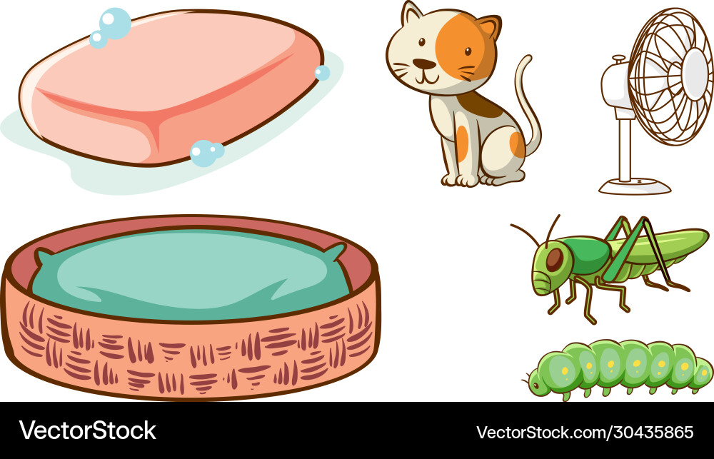 Large set different animals and other objects Large set different animals and other objects Vector Image
