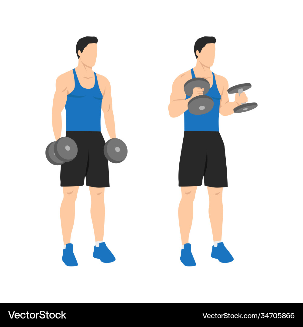 Man doing standing dumbbell bicep hammer curls vector image