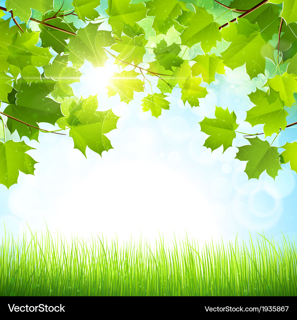 Natural background Royalty Free Vector Image - VectorStock