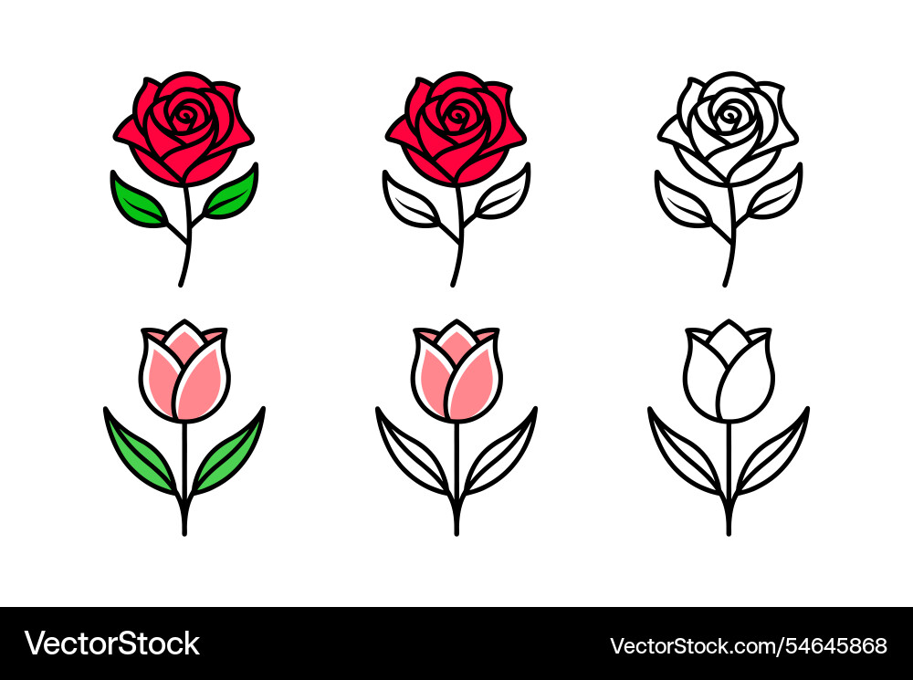 Rose and tulip bundle with three unique styles Rose and tulip bundle with three unique styles Vector Image
