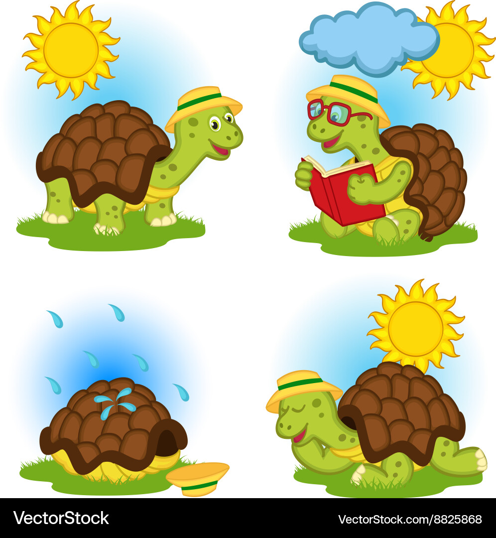 Turtle Reading in the Rain Vector Image