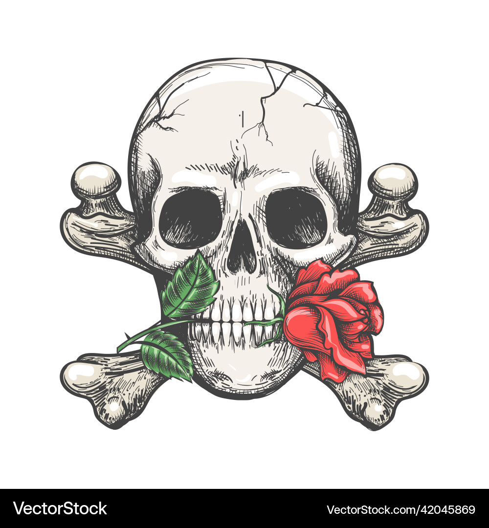 Skull with Roses - Gothic Sketch Vector Image