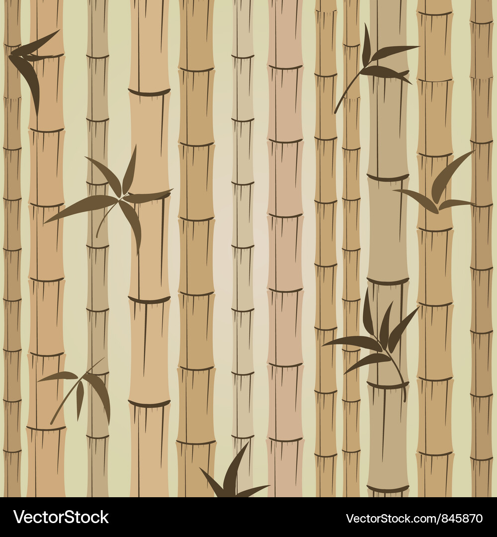 Bamboo Pattern Background Vector Image