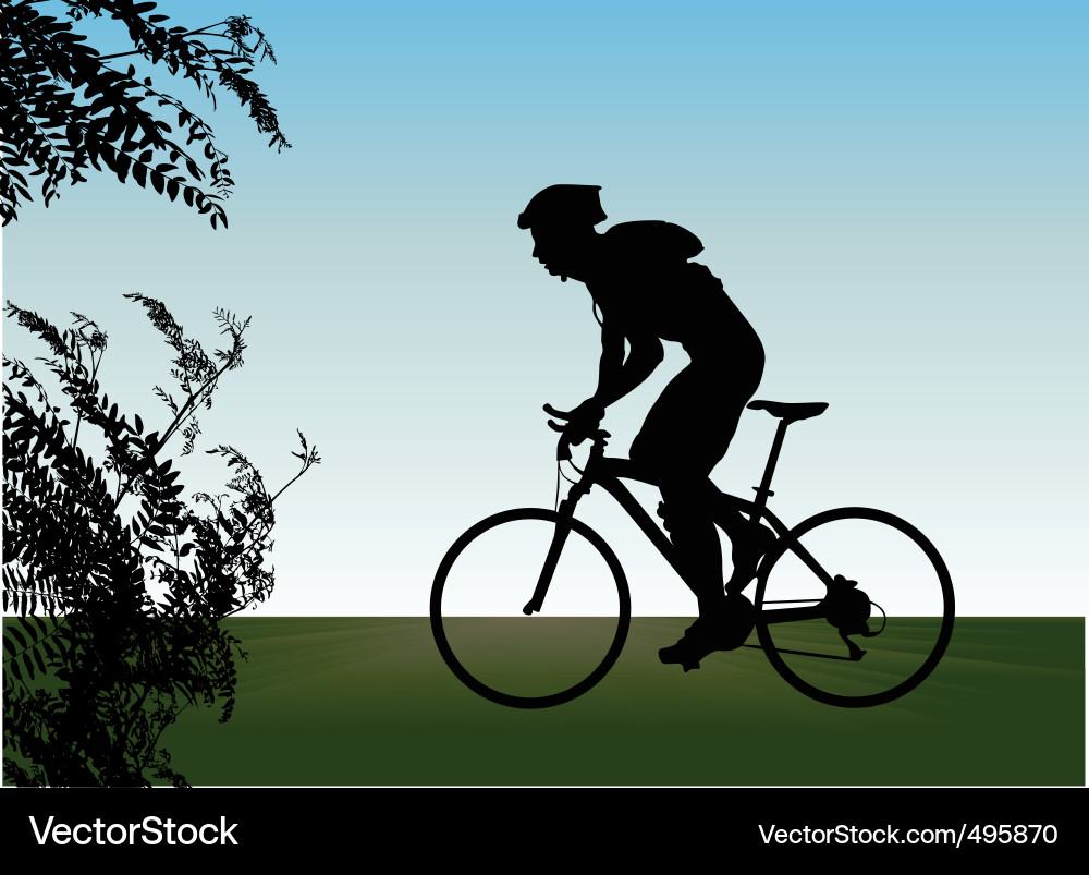 Silhouetted Bicycle Royalty Free Vector Image - VectorStock