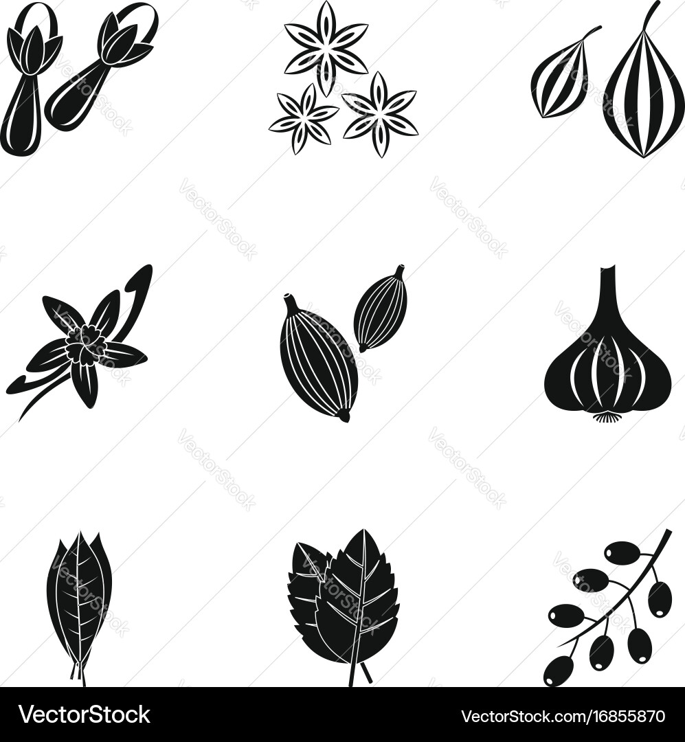 Spices icon set simple style Vector Image