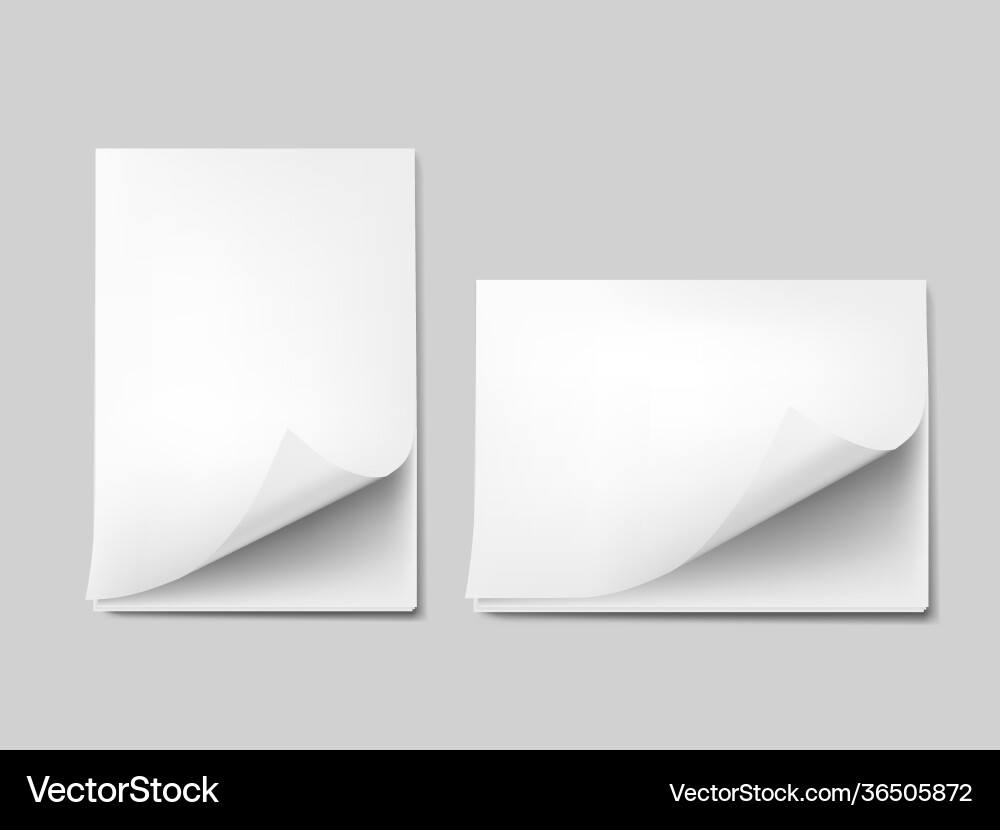 3d curled blank a4 paper sheets with shadow 3d curled blank a4 paper sheets with shadow vector image