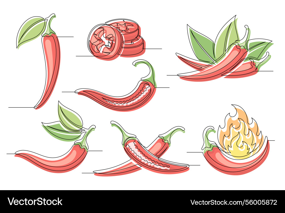 Chili Pfeffer rot kontinuierliche eine Linie Zeichnung Vektorbild