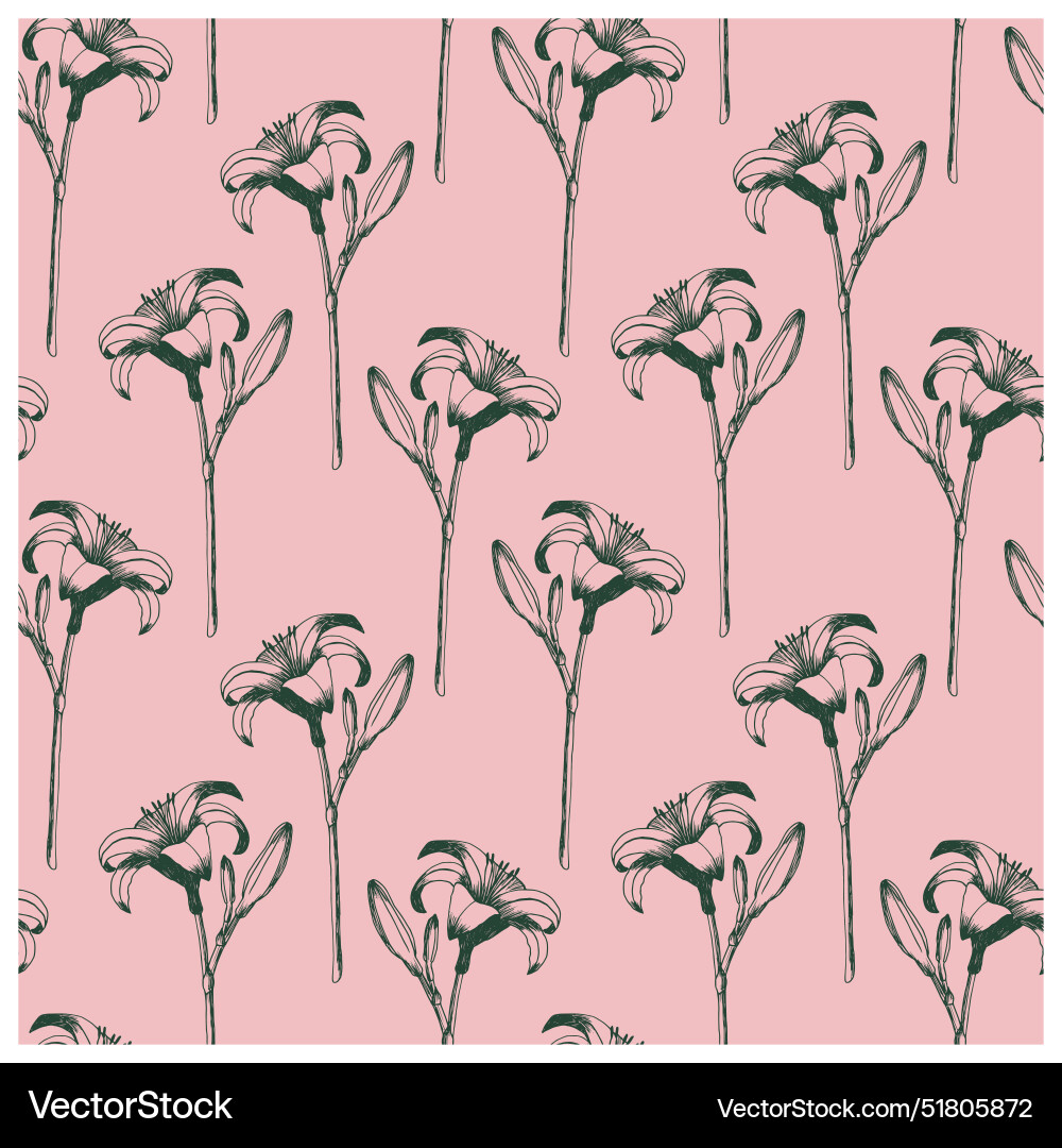 Daylily seamless pattern Vector Image