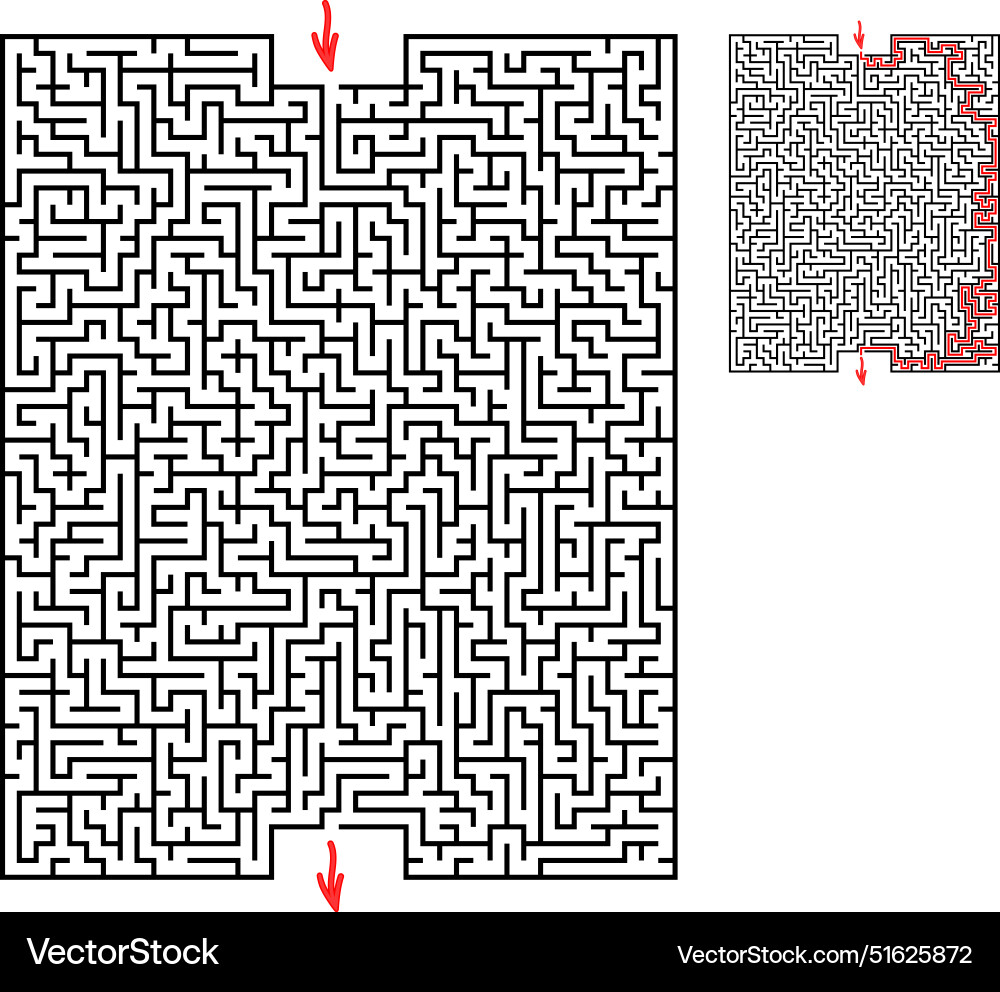 Rectangular labyrinth with entry and exit Rectangular labyrinth with entry and exit Vector Image