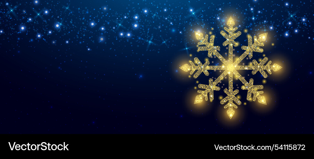 Snowflake wireframe low poly style design merry Snowflake wireframe low poly style design merry vector image