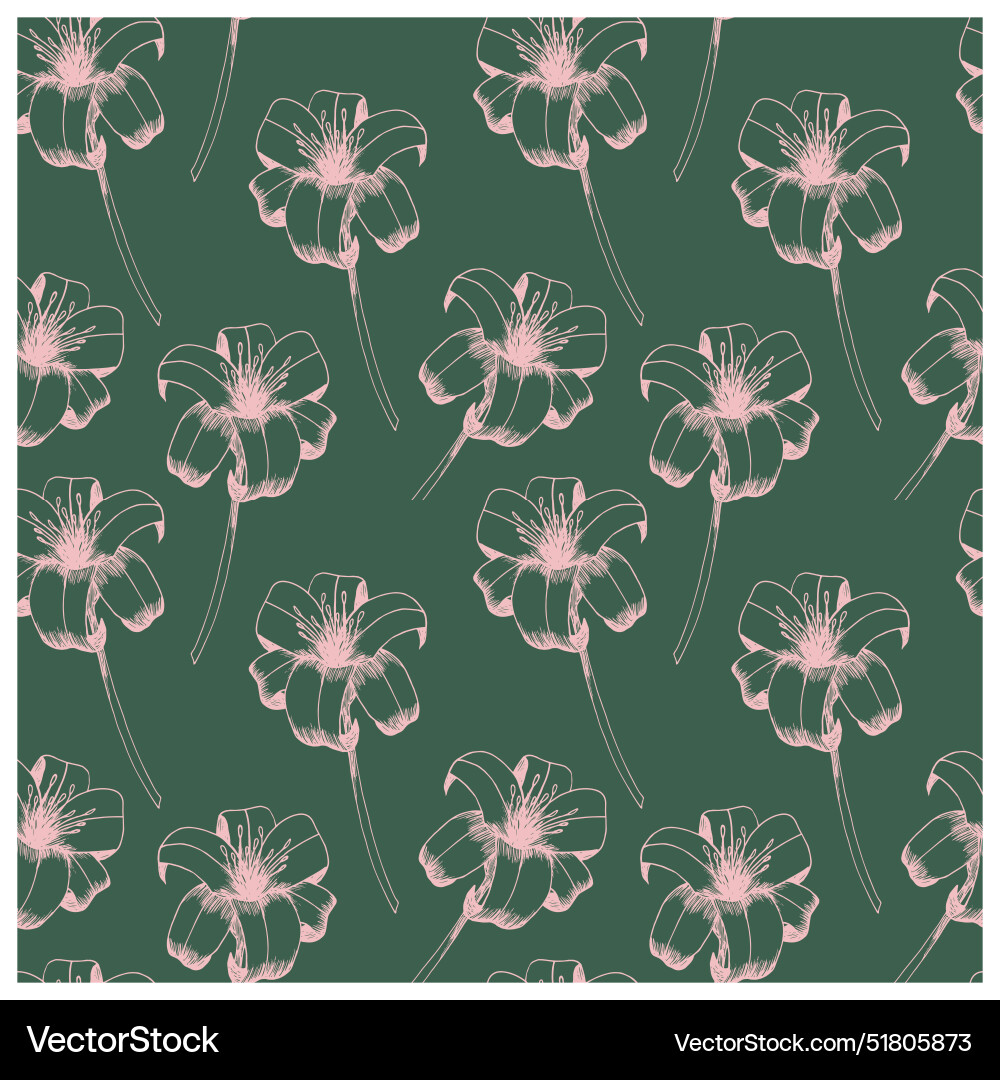 Daylily seamless pattern Vector Image