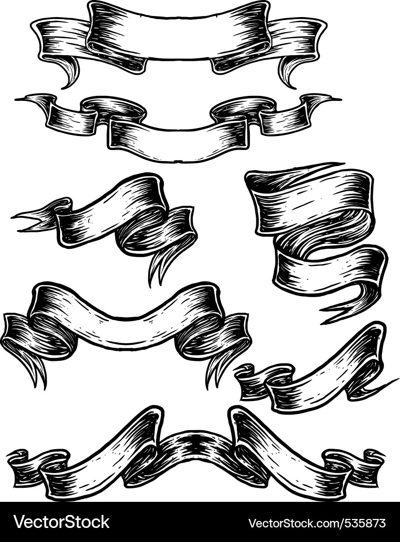 Elegant Scroll Banner vector image