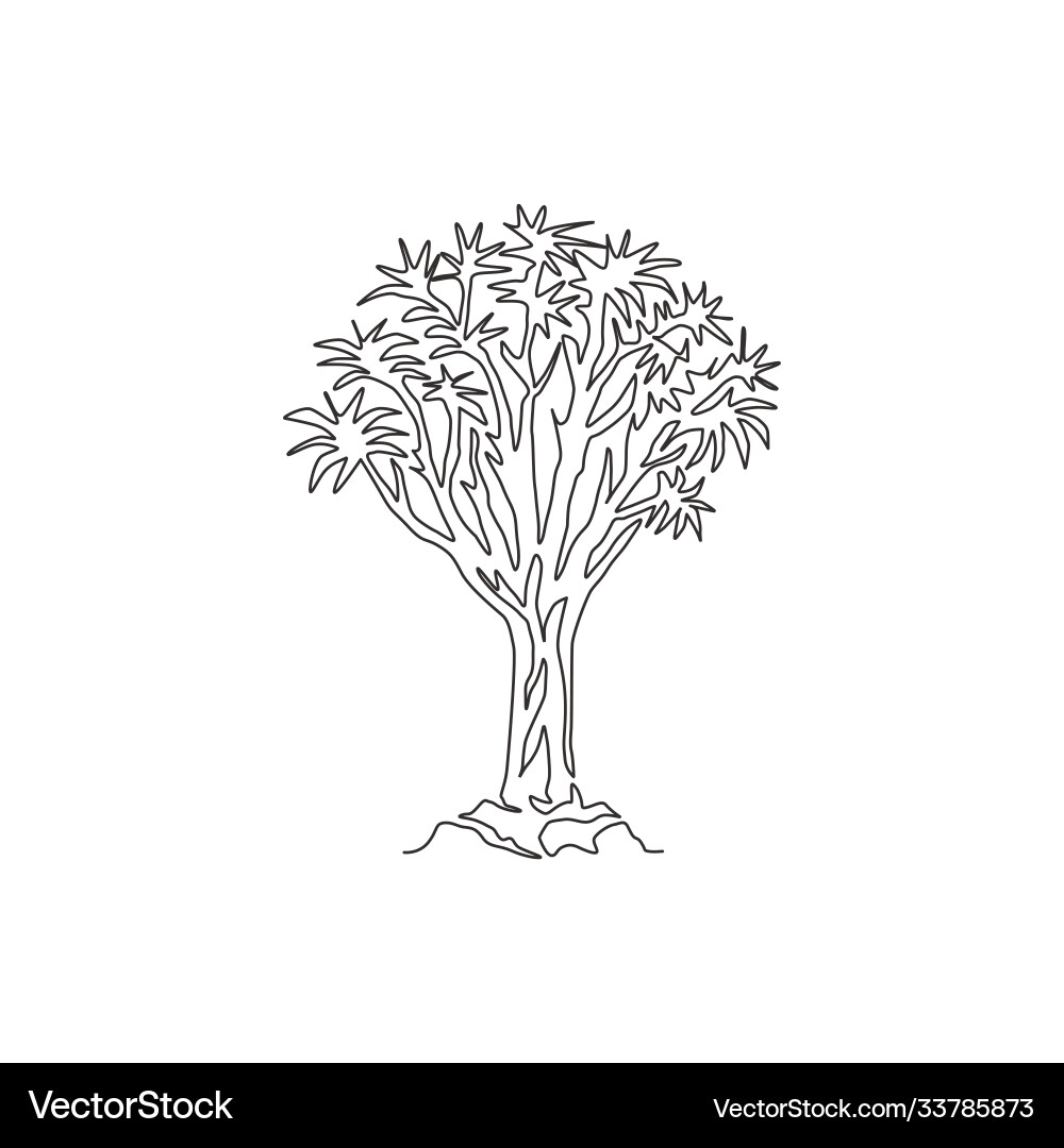 One continuous line drawing quiver tree forest One continuous line drawing quiver tree forest vector image