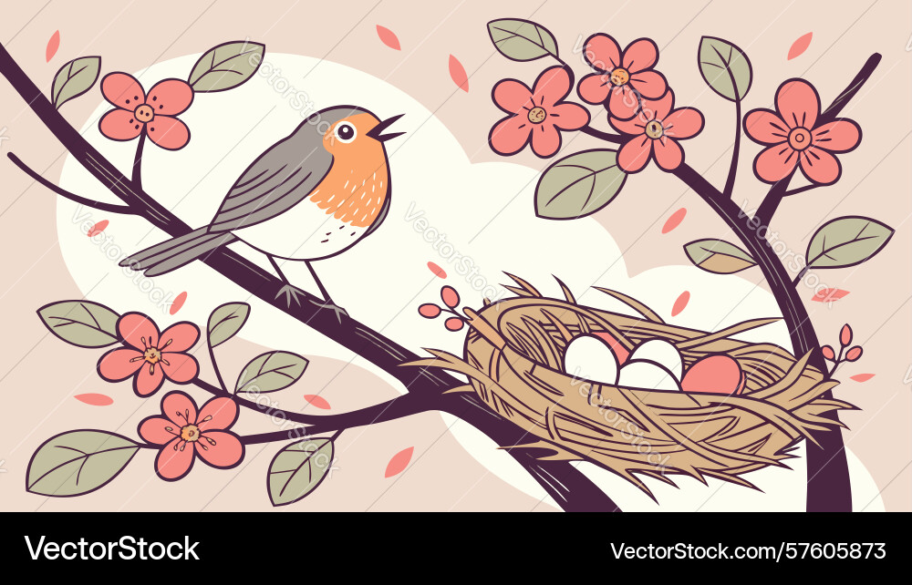 Robin on cherry branch with nest and eggs design vector image