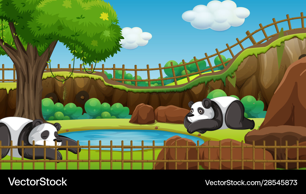 Two Pandas in a Zoo vector image