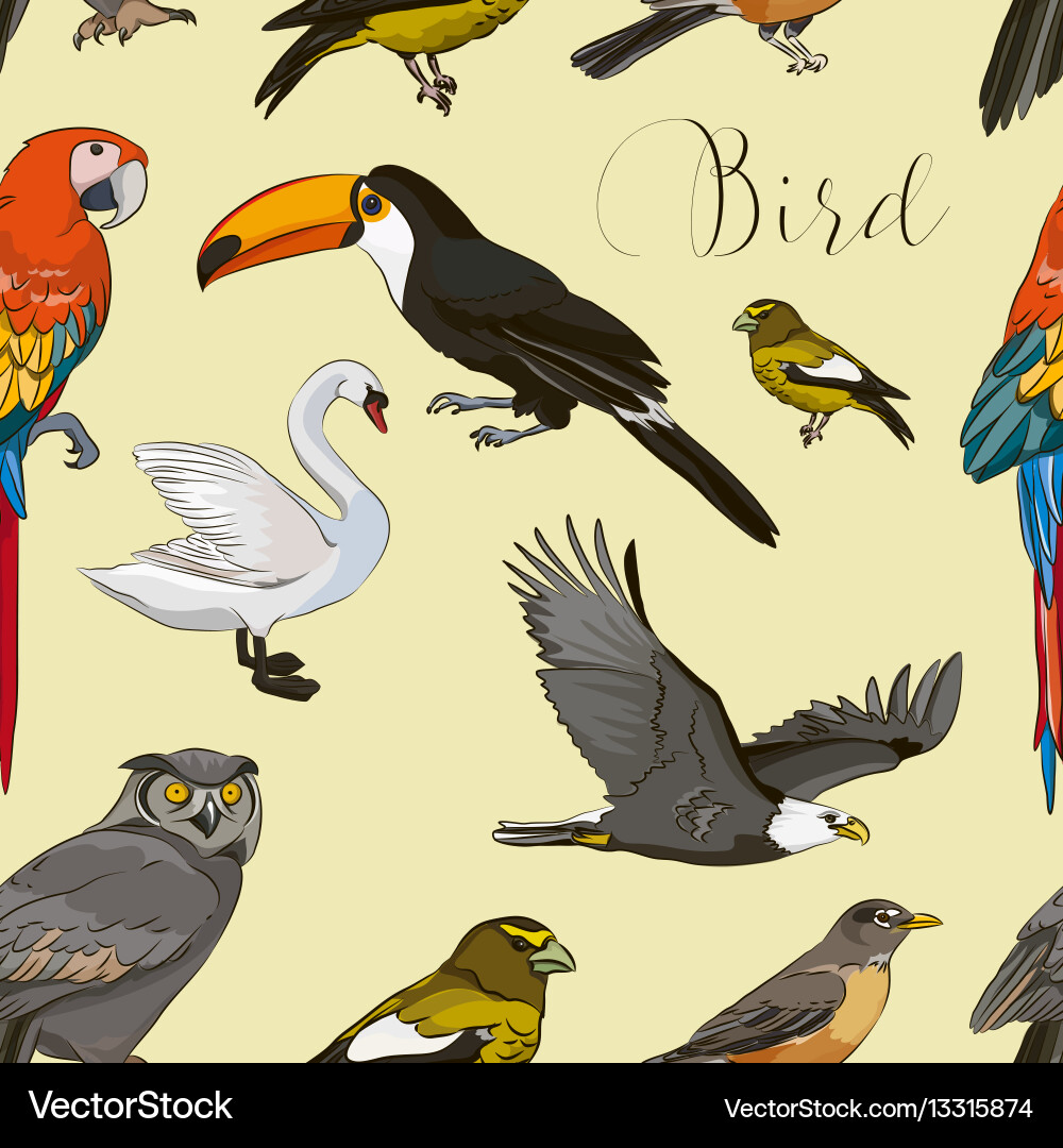 Bird collection pattern vector image