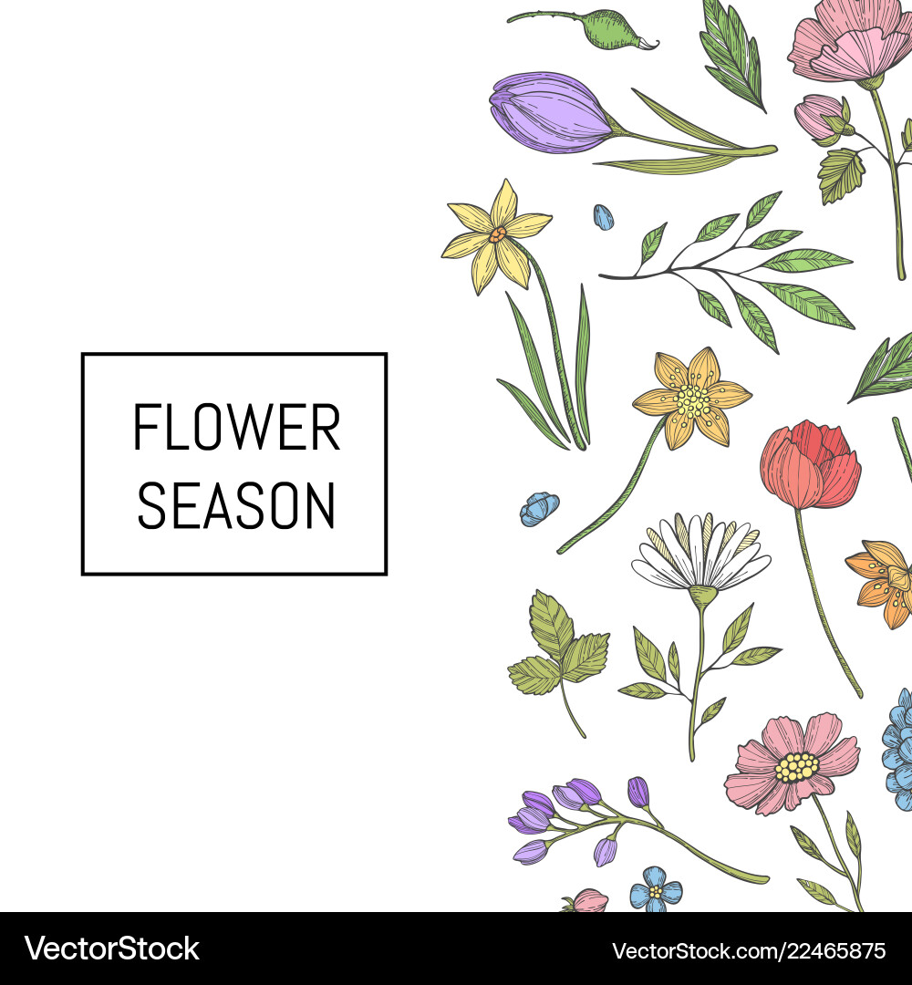 Hand drawn flowers background Hand drawn flowers background vector image