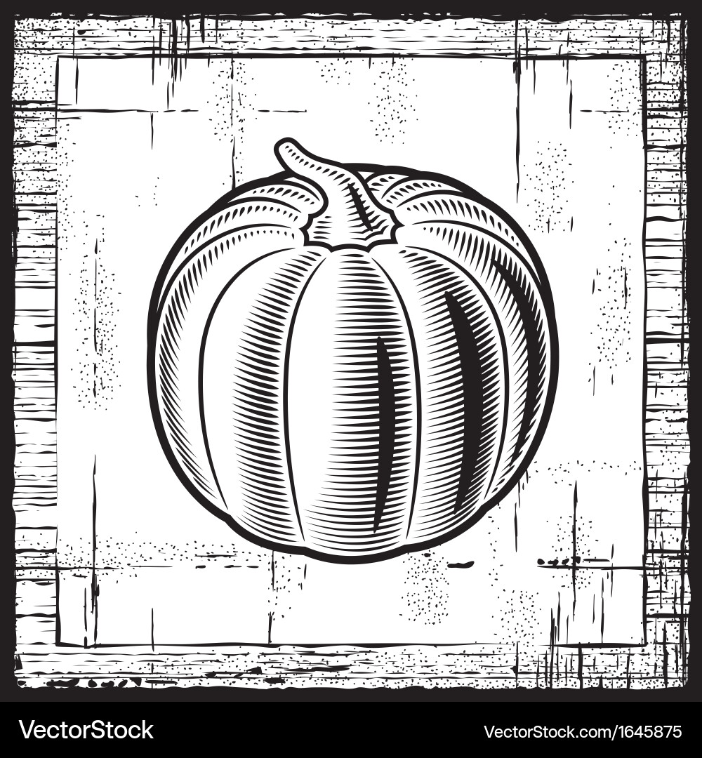 Vintage Pumpkin Woodcut Vector Image