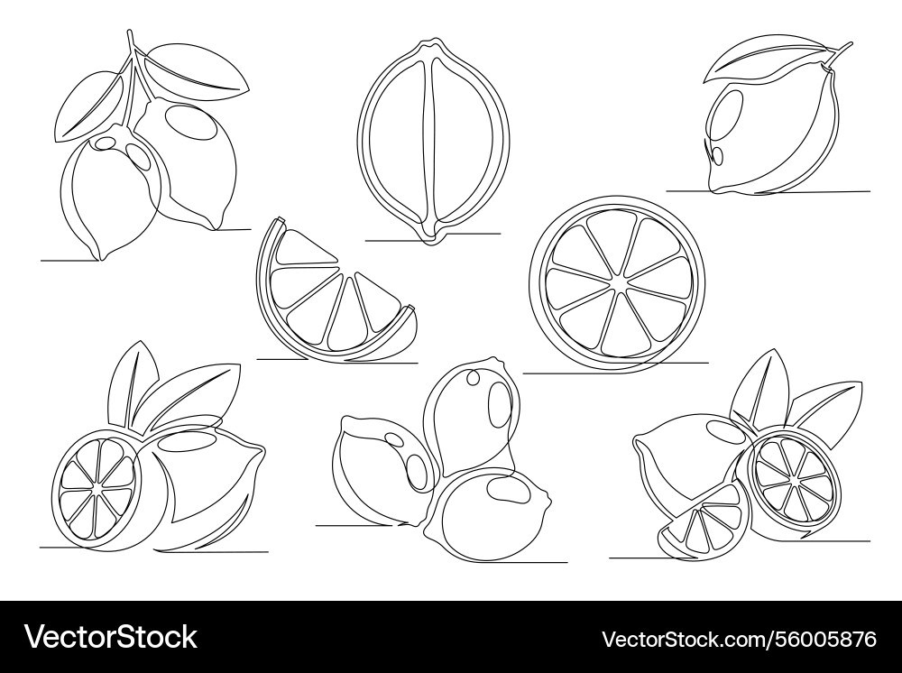 Lemon continuous one line drawing set vector image