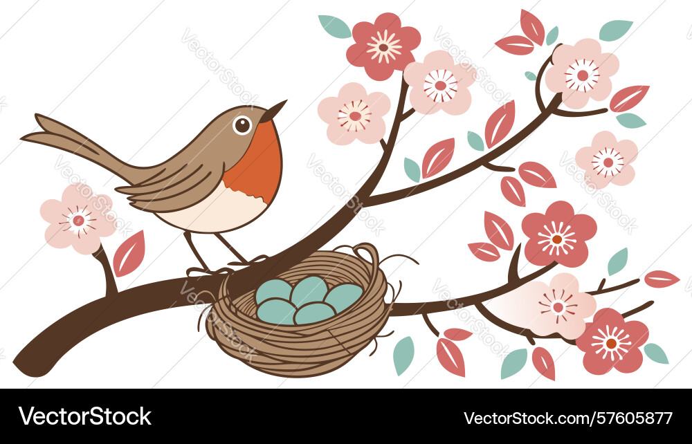 Robin on branch with nest and eggs spring scene vector image